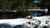 Donner Pass�